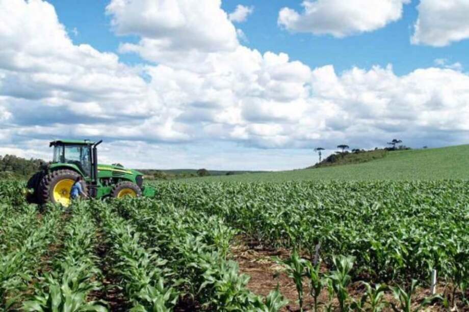 OMC llega a un gran acuerdo para eliminar los subsidios agrícolas