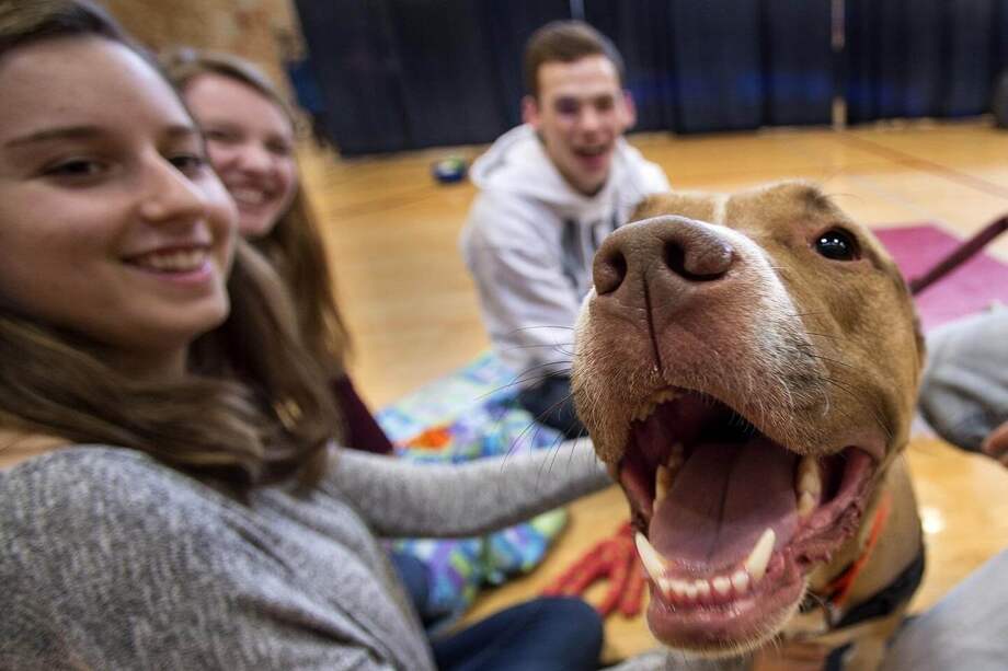 Solo 10 minutos pueden tener un impacto significativo en la reducción del estrés, de acuerdo con el estudio. / Europapress