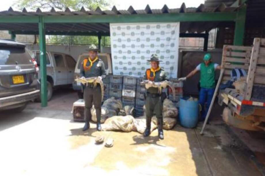 El responsable deberá responder por los delitos de ilícito aprovechamiento de los recursos naturales renovables y el tráfico de fauna silvestre.