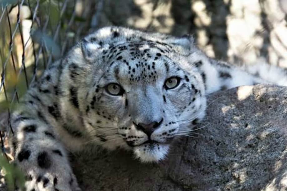 El taller será dictado por Laura Lucía Serrano, docente investigadora del programa de Artes audiovisuales de la Universidad Autónoma de Bucaramanga. / Foto tomada de banco de imágenes . Cortesía INCI