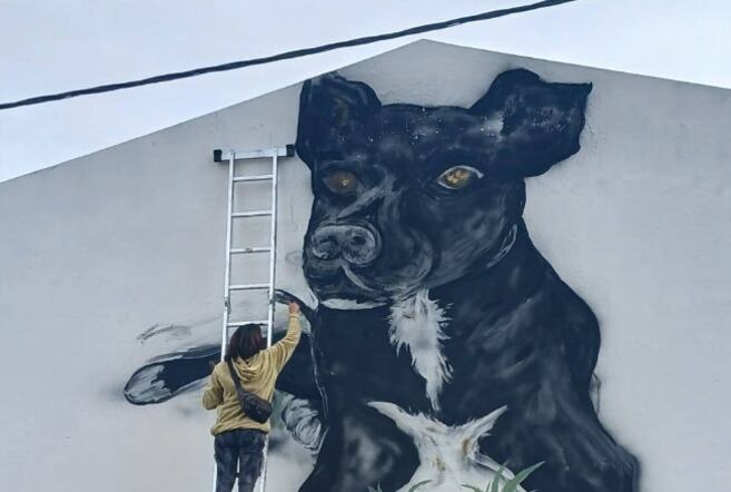 Estudiantes le hicieron un mural a Carbón, el perro que cuida y acompaña a toda una escuela
