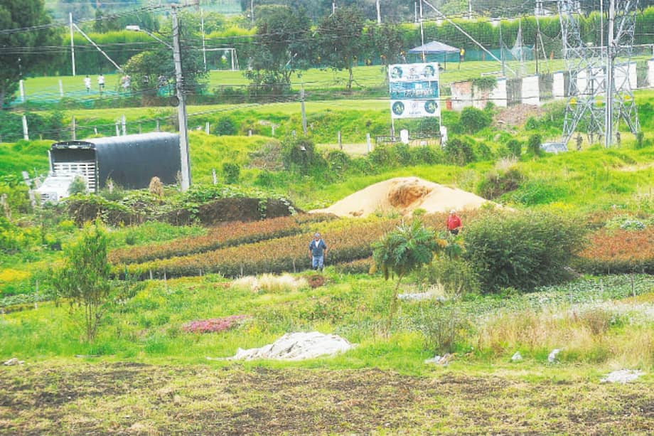 Cristian Garavito - Archivo El Espectador