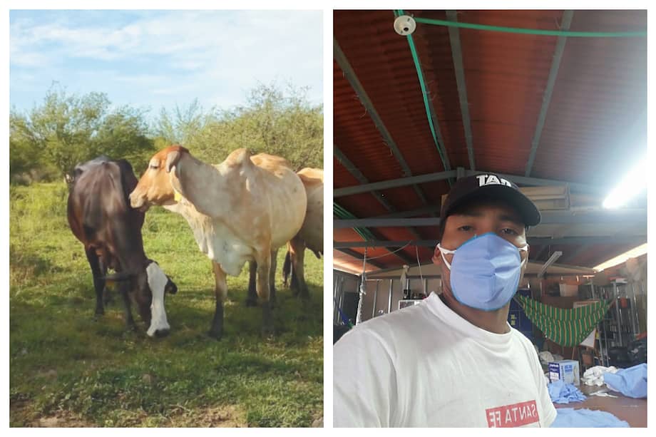 Con estos tres proyectos se benefician 62 excombatientes de las Farc. / Cortesía Procolombia y Tejiendo Paz