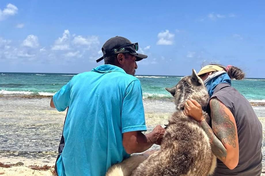 En un lugar donde muchos animales son invisibles, Kella y Andrea los han convertido en protagonistas. Aunque trabajan solos, su labor resuena como un acto de amor y resistencia.