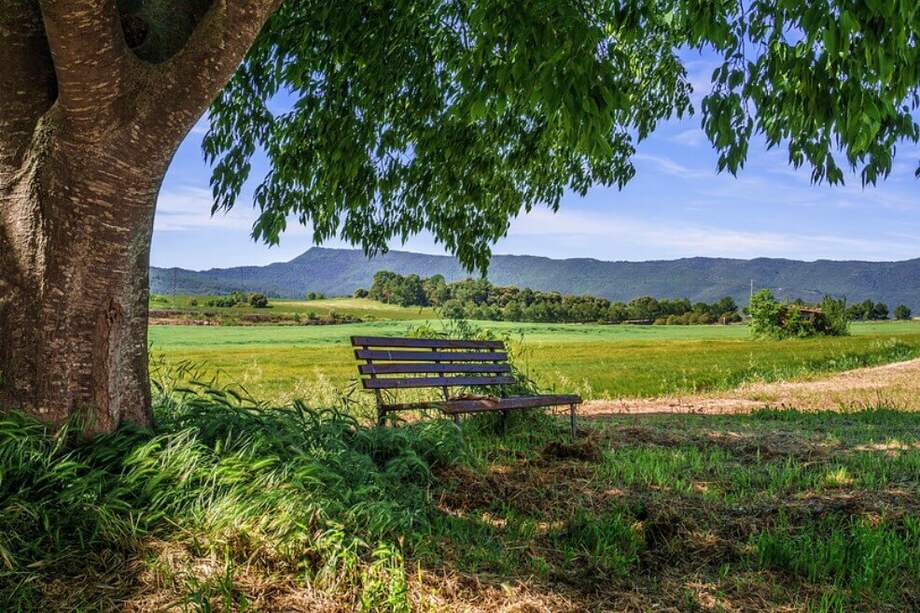 Según Naciones Unidas, actualmente viven más personas en las ciudades que en las zonas rurales. Se estima que en 2050 alrededor de dos tercios de la población mundial vivirán en ciudades. / Pixabay