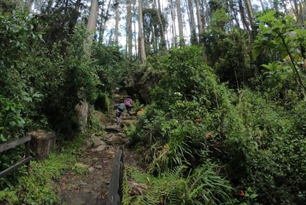 Rescatan a dos jóvenes que se perdieron de noche en los Cerros Orientales de Bogotá