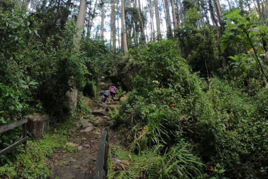 Caminos de los Cerros Orientales