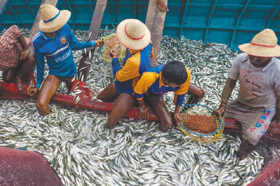 La producción de pescado en 2016 fue de 171 millones de toneladas. / Getty Images