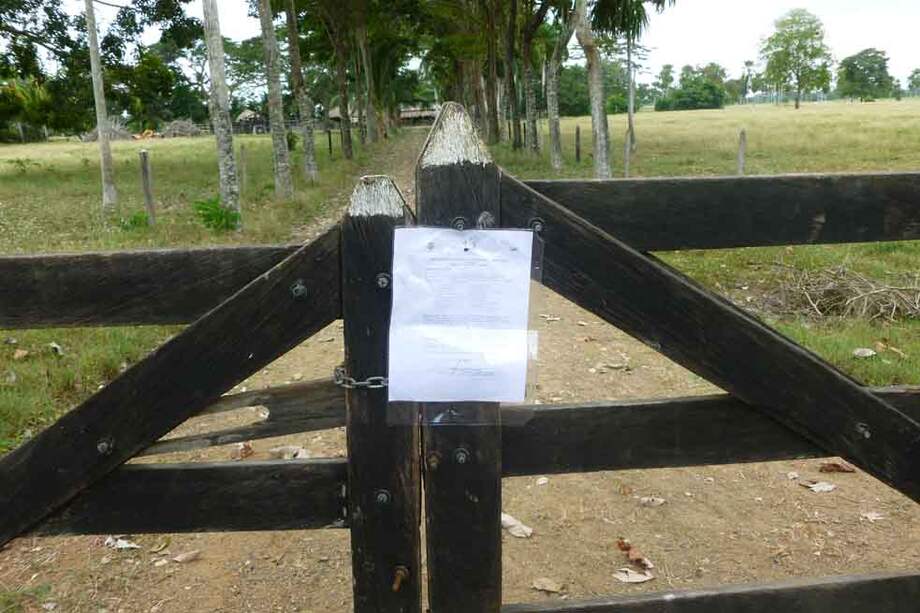 Otro fallo contra el "Clan Castaño"