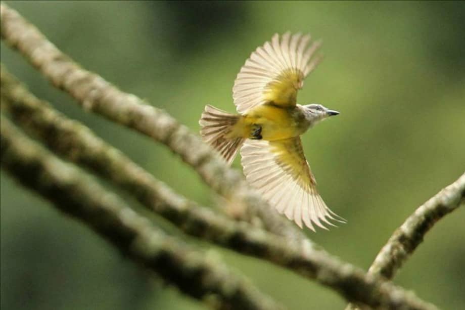 Referencia / Archivo EFE.