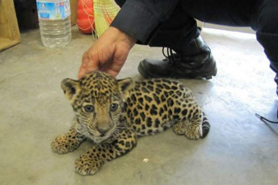 Foto tomada de www.excelsior.com.mx