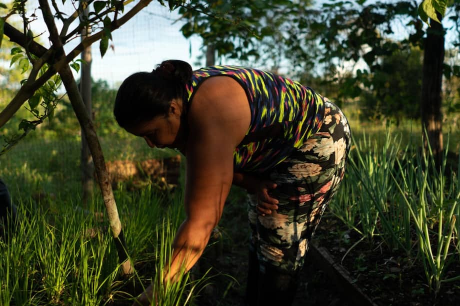 Aunque el 80% de los titulares de las fincas eran hombres, el 40% de las personas capacitadas fueron mujeres.