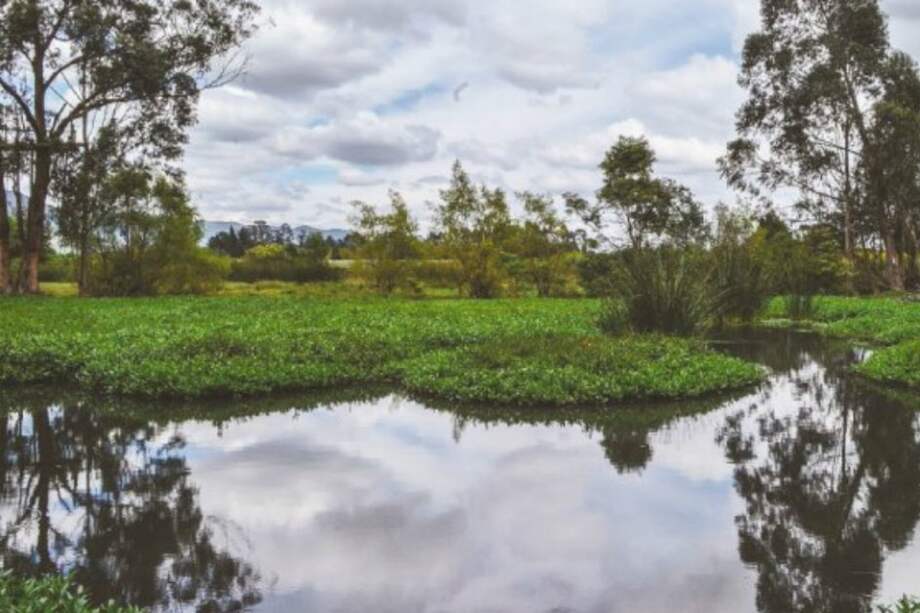 Archivo El Espectador.