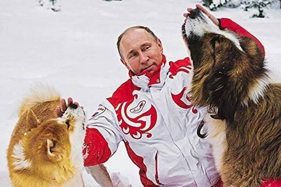 Foto: amazon.it/Russian VVP