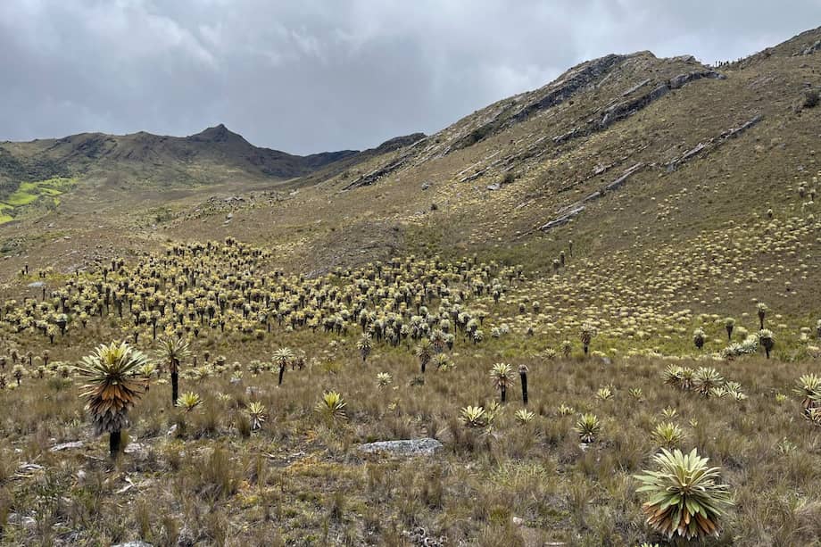 Gracias a sus paisajes de montaña y cercanía con el Páramo de Ocetá, el pueblo se ha convertido en un destino atractivo para quienes buscan senderismo, naturaleza y tranquilidad.