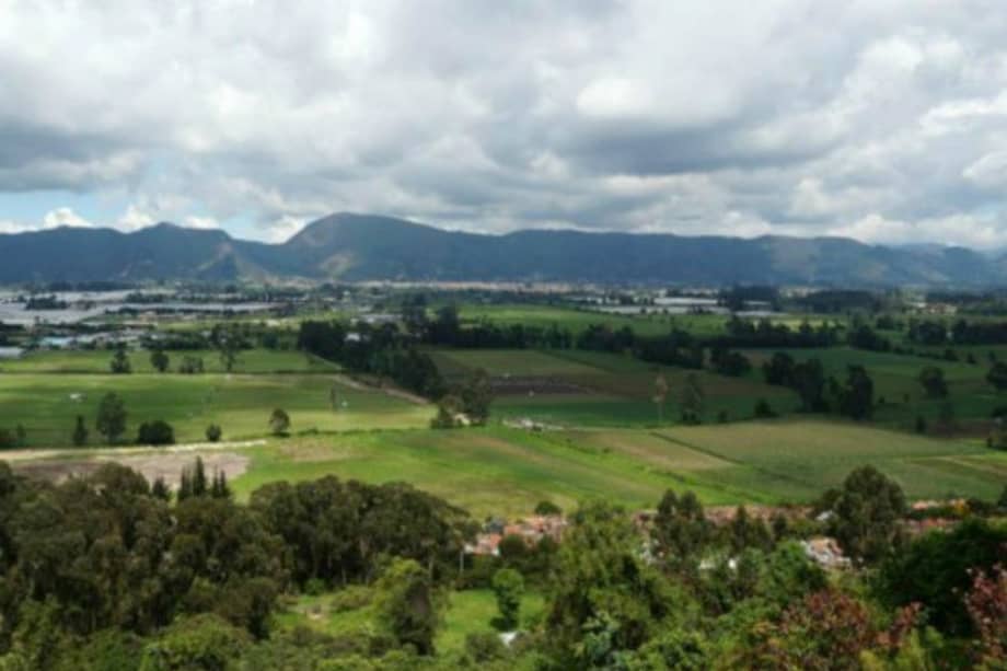 Posiblemente una de las reservas afectadas por el proyecto sería la Thomas Van der Hammen, al norte de Bogotá. / Archivo El Espectador.