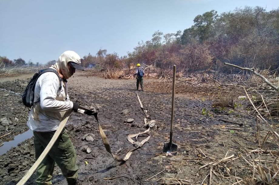 La emergencia está siendo tratada por bomberos de Ciénaga y Sitionuevo, la Oficina de Gestión del Riesgo de Barranquilla y la Brigada Forestal del parque.