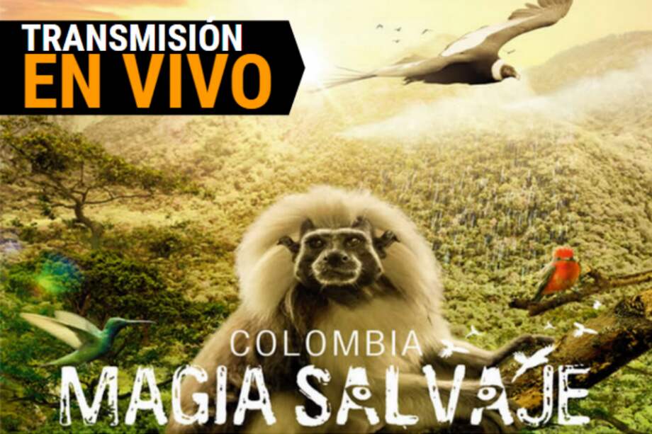 EN VIVO: conversatorio, documental "Magia Salvaje"
