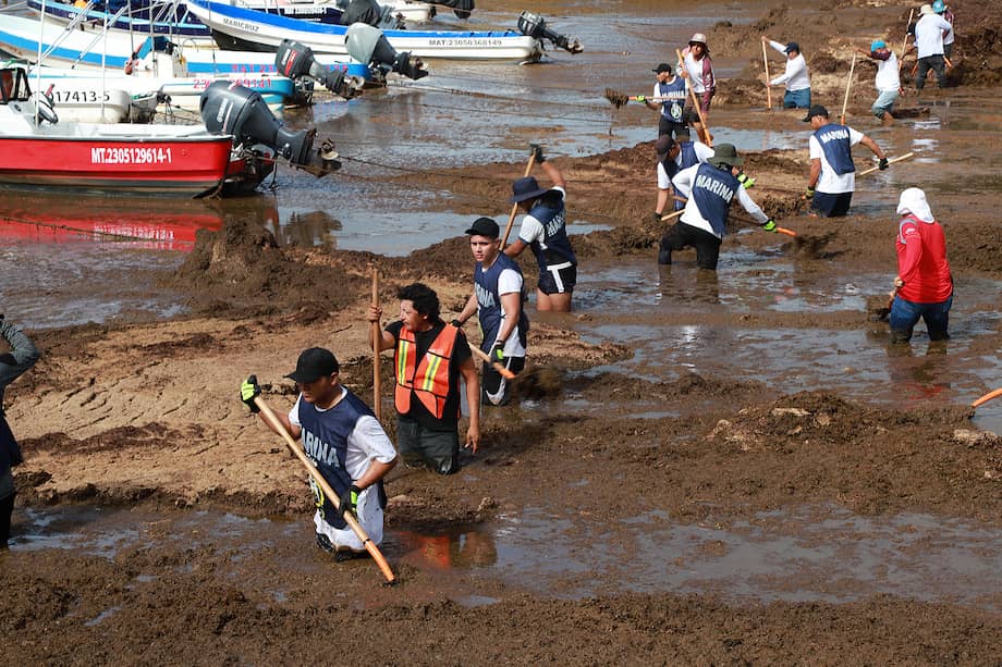 Autoridades y voluntarios participan en la recolección de sargazo en Playa del Carmen, en el estado de Quintana Roo (México), a mediados de 2025.