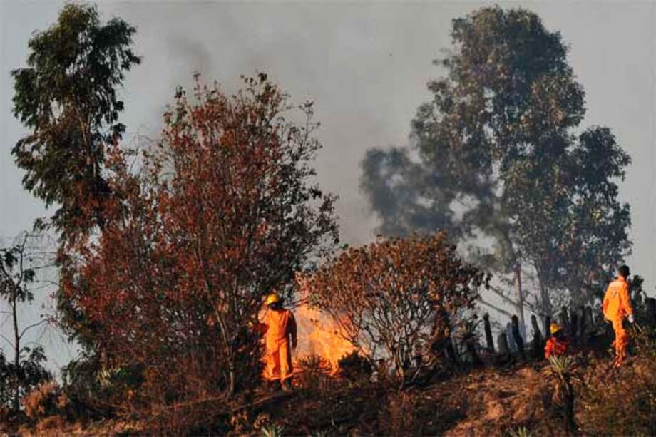 Bomberos logran controlar incendio forestal en Cali