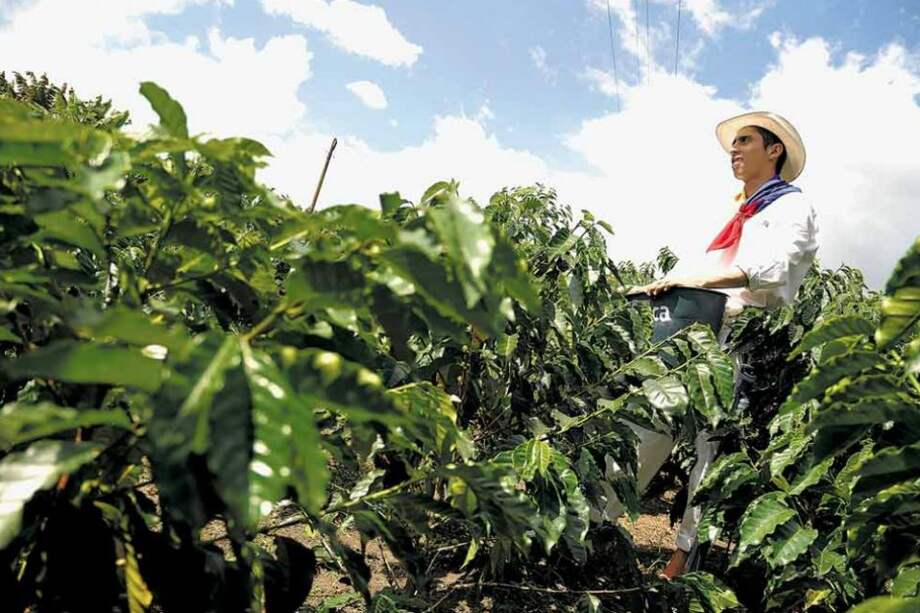 Abren puertas del sistema financiero a pequeños y medianos productores