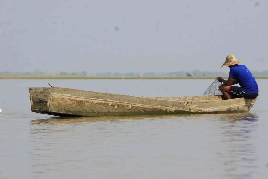 La Mojana cuenta con una estrategia integral para rehabilitar sus humedales a través de la revegetación en las áreas inundables.
