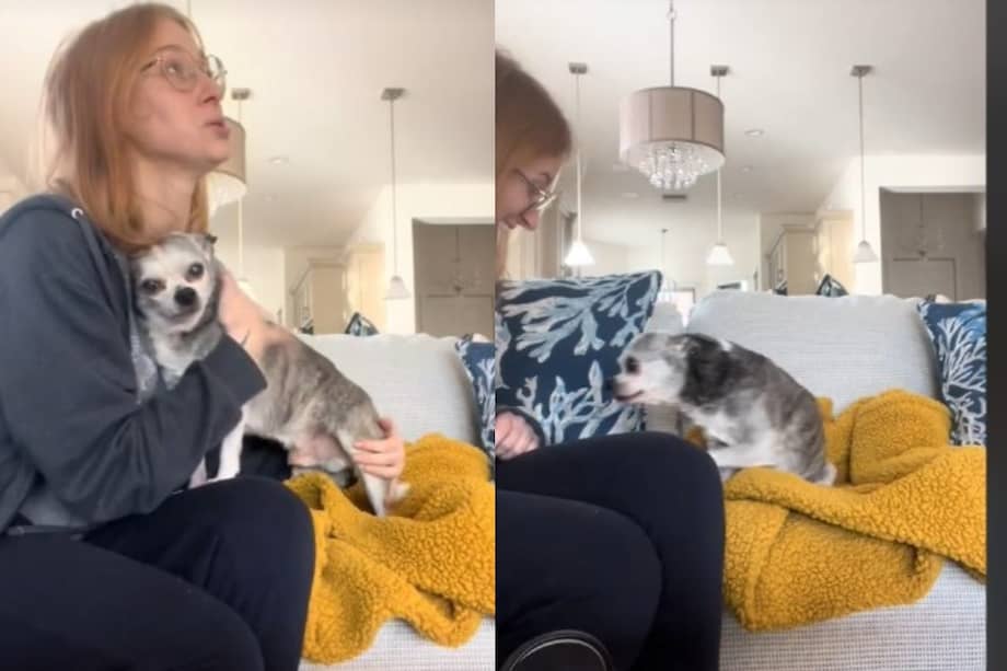 Tras el reencuentro, la mujer notó que su perro parecía haber vuelto a su antiguo estado de ánimo.