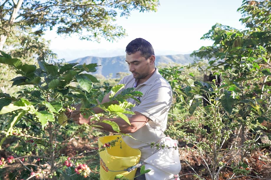Chimila, fénix de la paz en el Cesar.