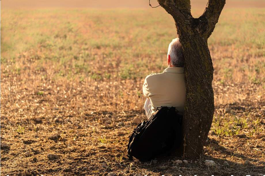 Independientemente de que estés enfermo del cuerpo o de la mente, eso eres pasado los sesenta: un desecho, un ser sin mayores expectativas, en una espera permanente de que la discreta jovencita esquelética haga su aparición y te apague al fin.