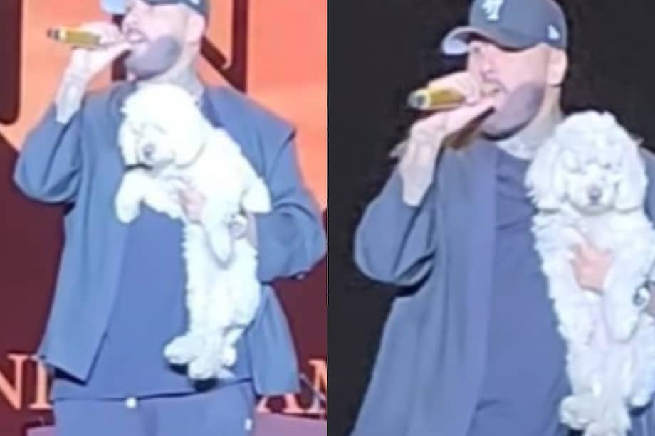 Nicky Jam reaccionó con calma y cariño ante la presencia de la perrita en el escenario.
