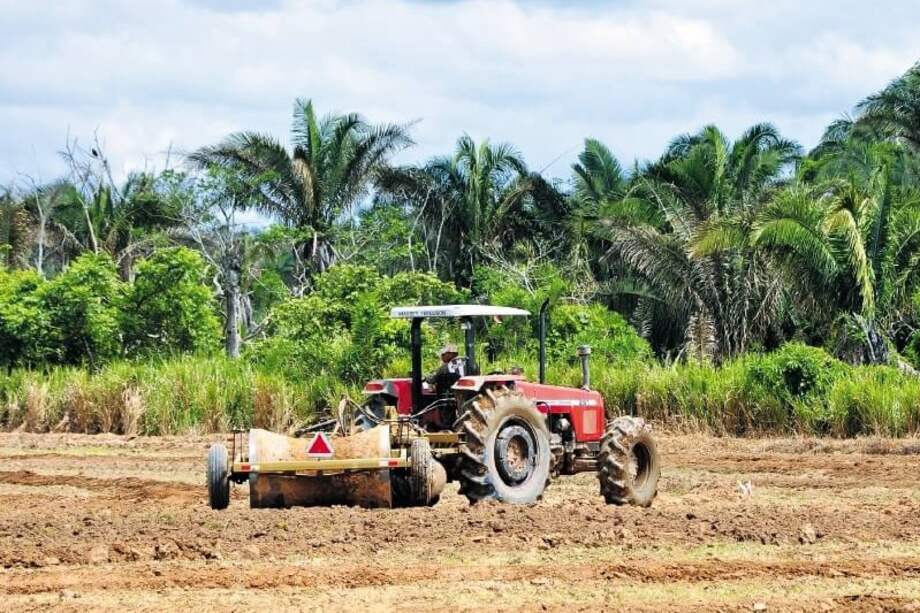 Imagen de referencia.