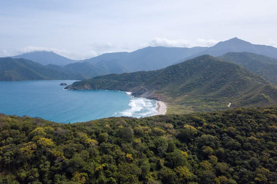 Imagen de referencia: Magdalena, Colombia.