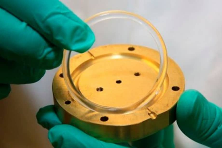 Anillo vaginal, método anticonceptivo chileno que pretende conquistar a África