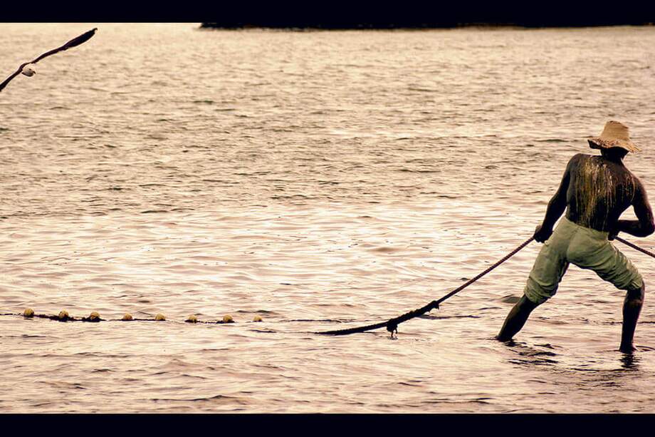 En 2012, Fedepesca y el Consejo Comunitario de Los Delfines iniciaron la acción popular en contra de la pesca industrial en Chocó. / Archivo El Espectador.