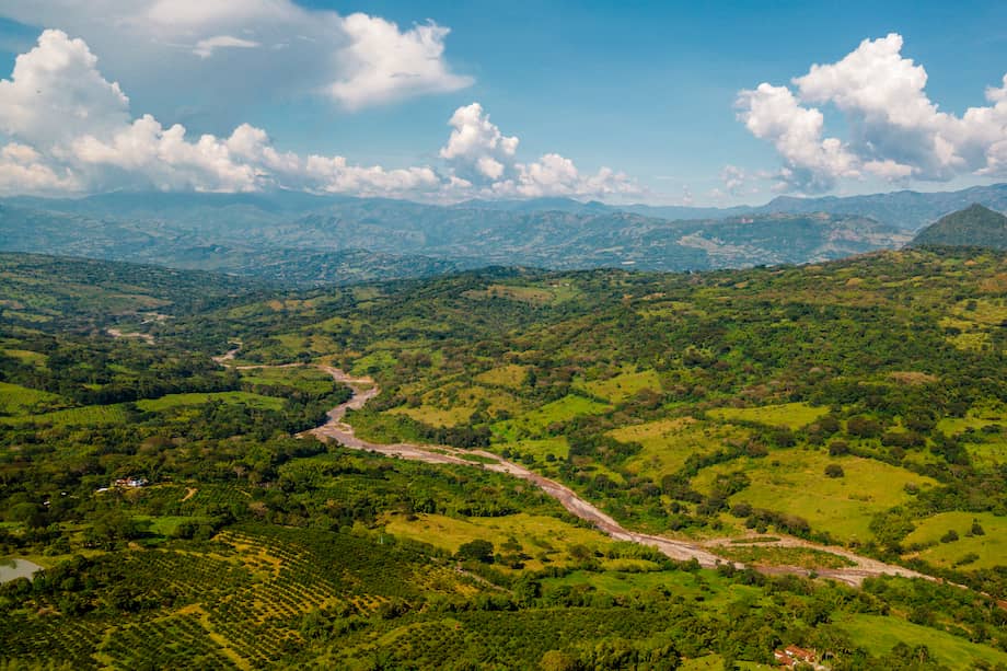La meta del proyecto es sembrar 2,3 millones de árboles en ecosistemas clave en Antioquia, Caldas, Risaralda, Córdoba y Chocó.
