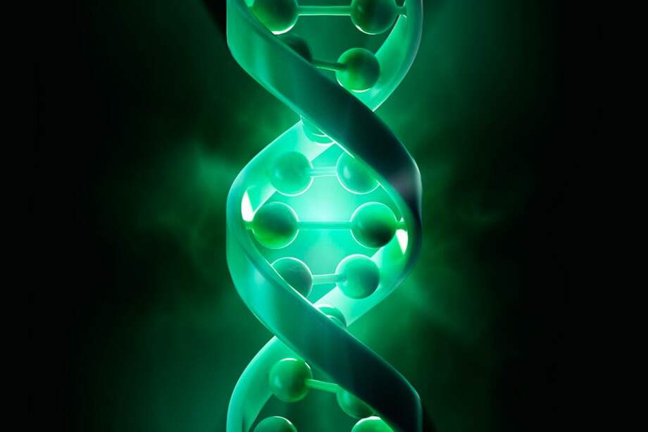 Científicos revelan que el 80% de nuestro genoma realiza una función específica. Hasta ahora sólo se creía útil menos del 2%. /123rf