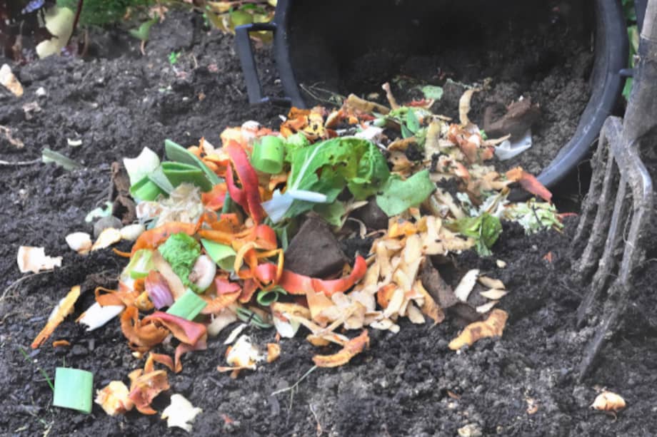 El compostaje doméstico ha ganado protagonismo como una estrategia efectiva para reducir la generación de residuos y mejorar la calidad del suelo en huertas caseras. Sin embargo, su correcta implementación requiere conocimiento y disciplina.