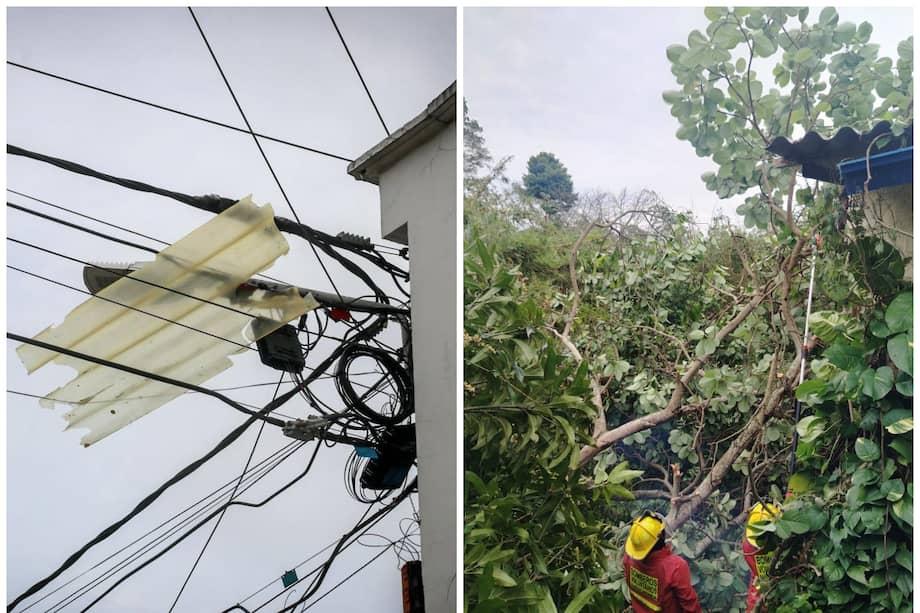 Las lluvias provocaron la caída de árboles y la pérdida de techos en varias viviendas de las comunas 3 y 7.
