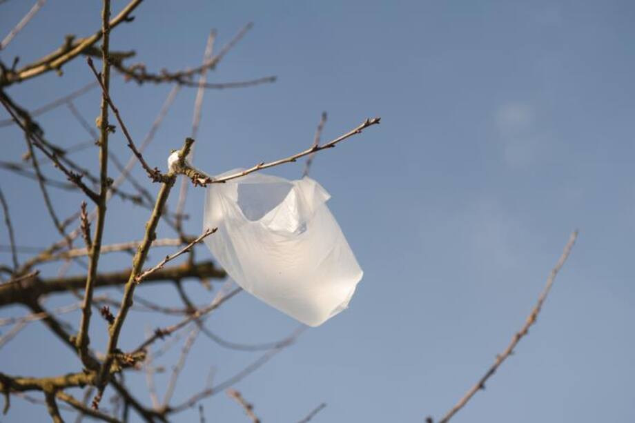 ¿Por qué evitar el uso de bolsas plásticas?