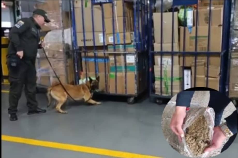 Kira, perra antinarcóticos, encuentra cargamento de 100 kilos de marihuana en bodegas del aeropuerto El Dorado