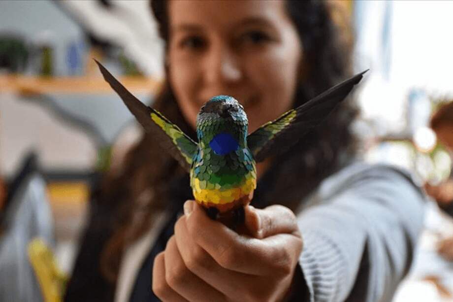 Valija de Aves es un emprendimiento donde las personas pueden asistir no solo a aprender de la gran diversidad de aves en Colombia, sino también acerca de cómo cuidar sus ecosistemas, creando esculturas de aves colombianas con materiales reciclados. 11 de marzo de 2020. / Juan David Moreno - Agencia Anadolu