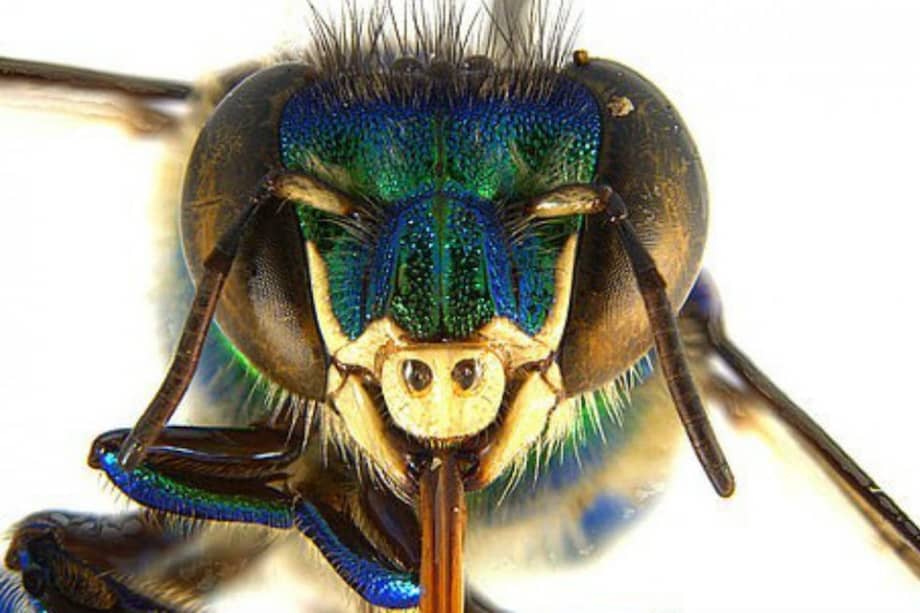 Agencia de Noticias UN