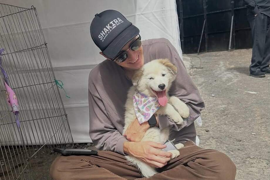 La Fundación Acción Animal Ecuador llevó varios cachorros al equipo de producción de Shakira para brindarles un momento de descanso y desconexión en medio del agotador ritmo de la gira.