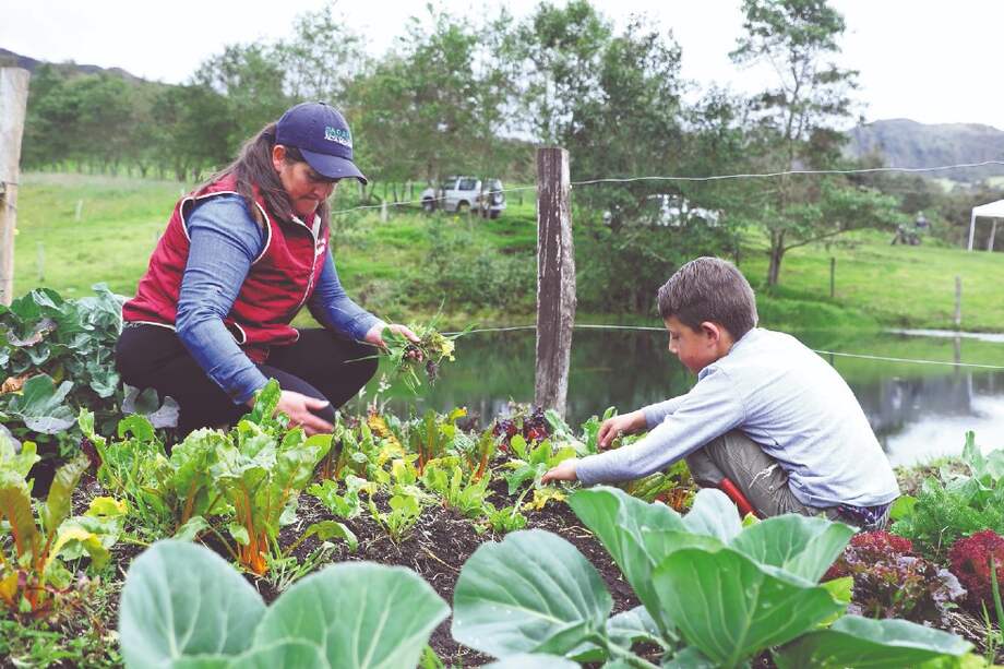 El llamado del departamento, para sus habitantes e incluso para los bogotanos, es animarse a comprar productos de los campesinos de Cundinamarca.