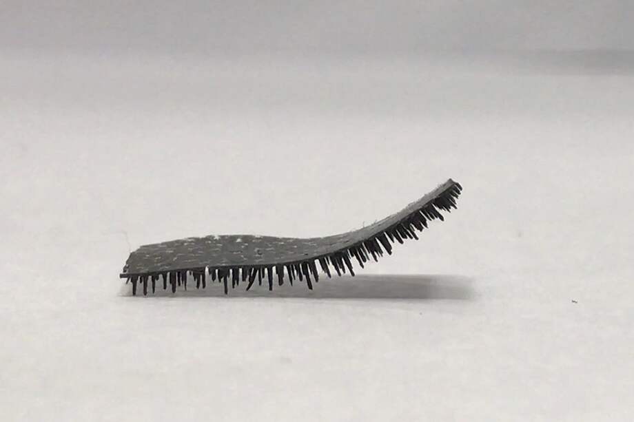 EFE - Imagen facilitada por la Universidad de Hong Kong