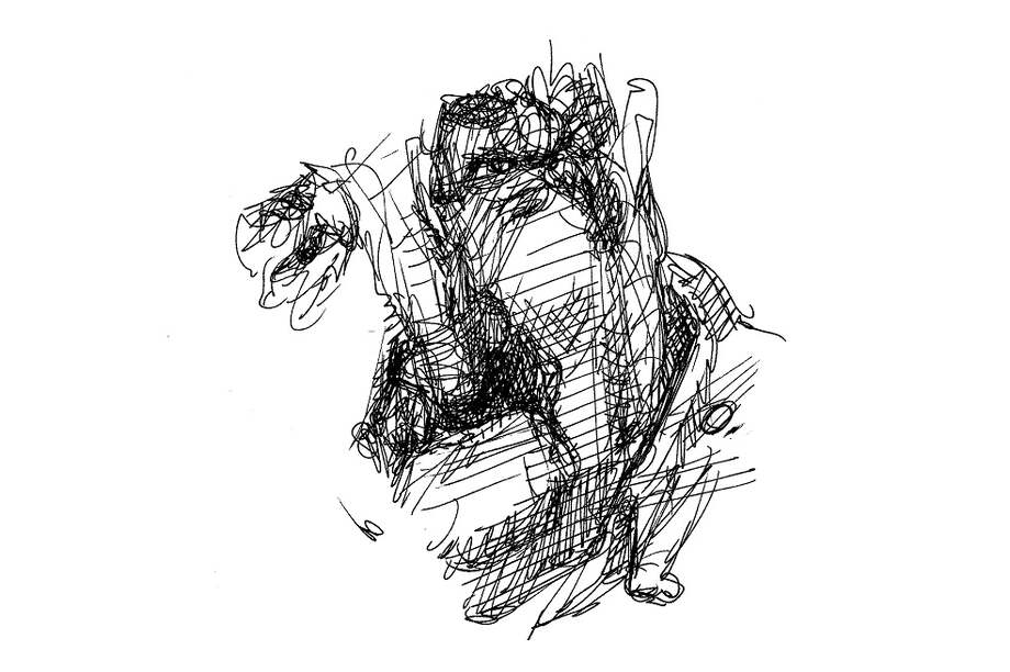 Como si fuera democracia