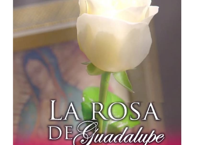 Revelan cómo se graba el famoso de viento en ‘La Rosa de Guadalupe’ y cómo nació la idea