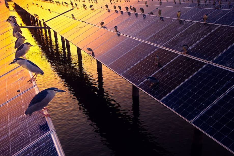 China se ha comprometido a alcanzar el punto máximo de emisiones de carbono para 2030 y a lograr su neutralidad para 2060.
