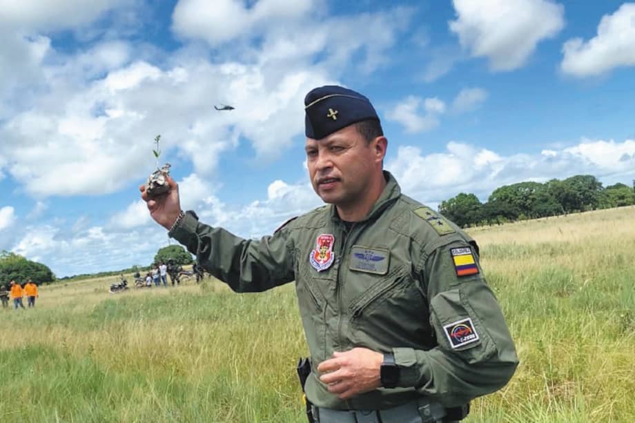 Lanzar semillas desde un helicóptero: mala idea para reforestar el Llano