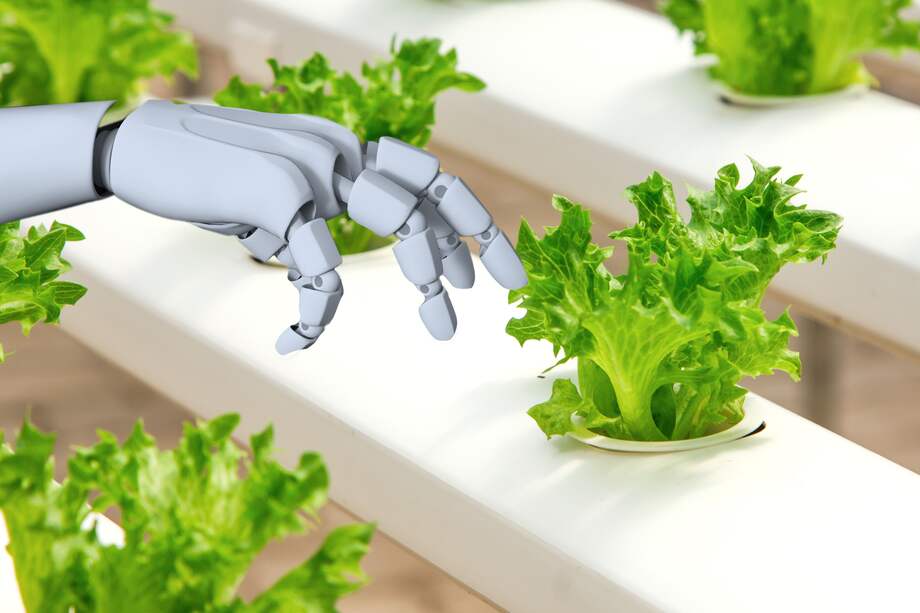 Un método que puede contribuir a la creación de nuevas propuestas en la gastronomía.